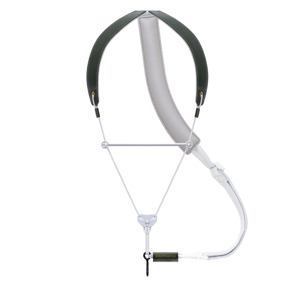 オリーブと銀鼠1